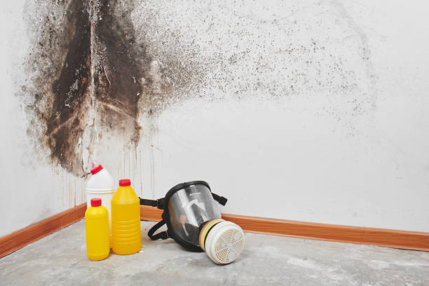 Crawl Space Mold Removal in Attica, IN