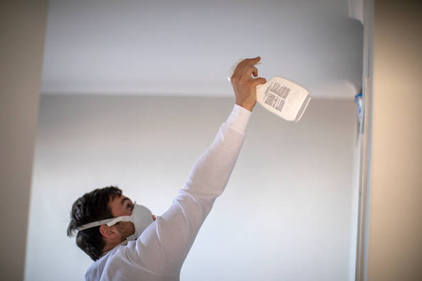 Best Toxic Mold Removal  in Attica, IN