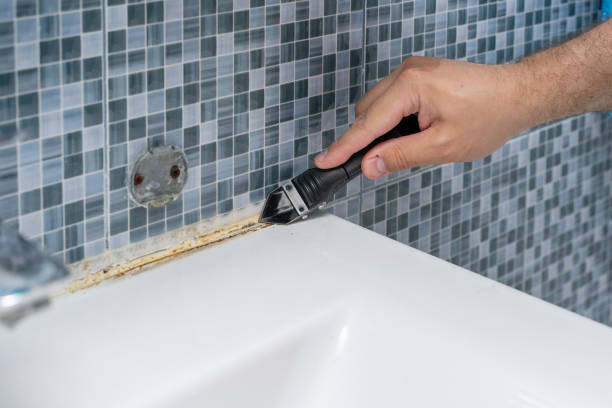 Best Fast Mold Removal  in Attica, IN